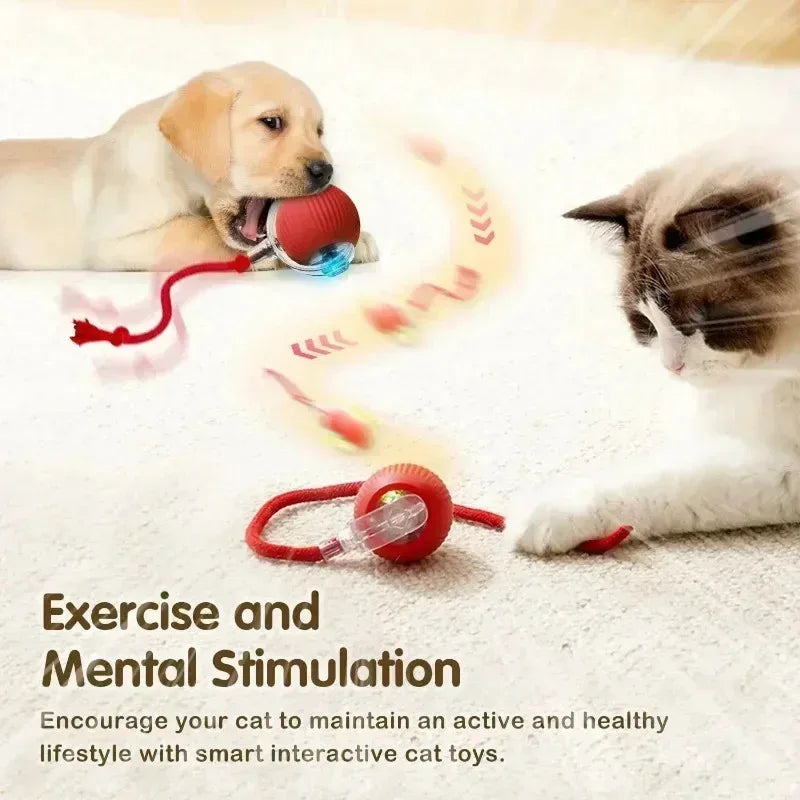 Cat Interactive Auto-Rolling Ball Toy with LED Light & Sound Interactive Cat Toy PLUSH
