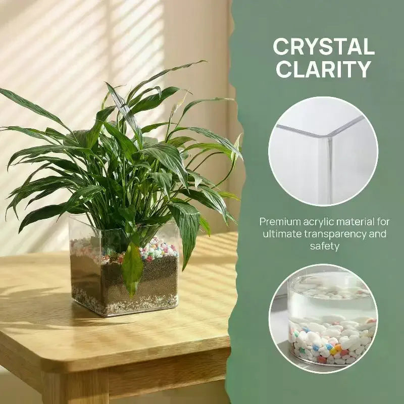 Transparent Acrylic Flower Pot – Square & Round Desktop Planter Decorative Planter PLUSH