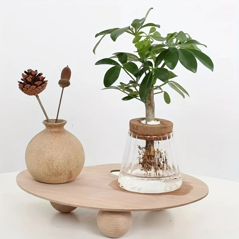 Nordic Glass Hydroponic Vase with Tray – Mini Tabletop Planter Hydroponic Glass Vase PLUSH