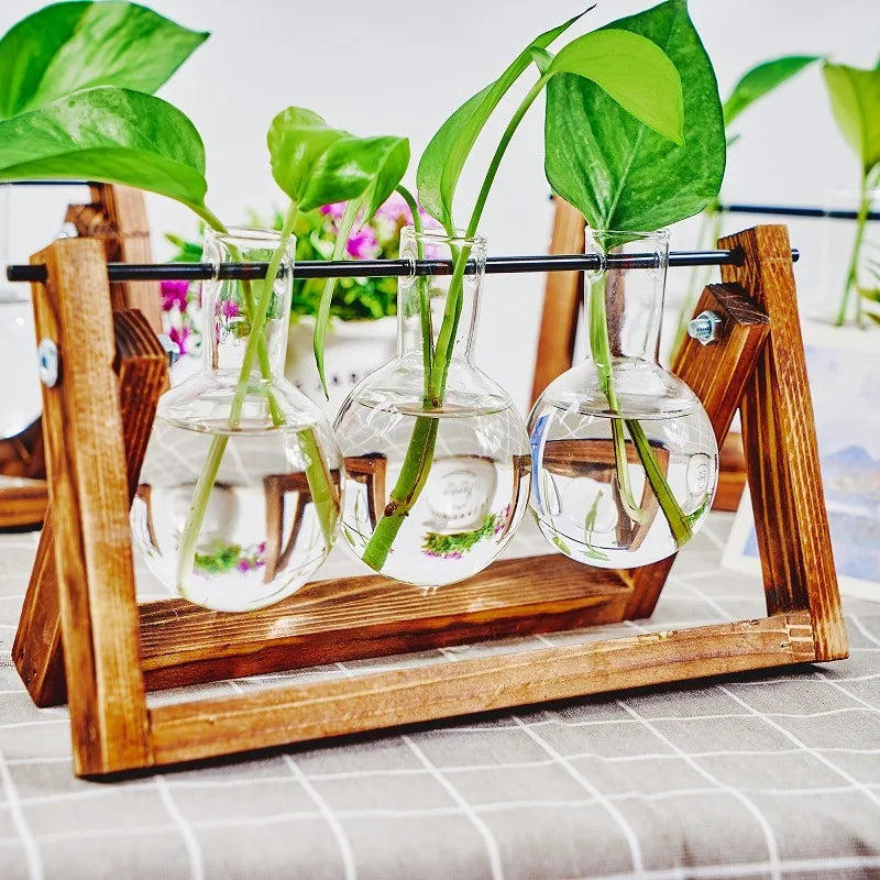 Glass Propagation Station in Wooden Rack | Hydroponic Vases Propagation Station PLUSH