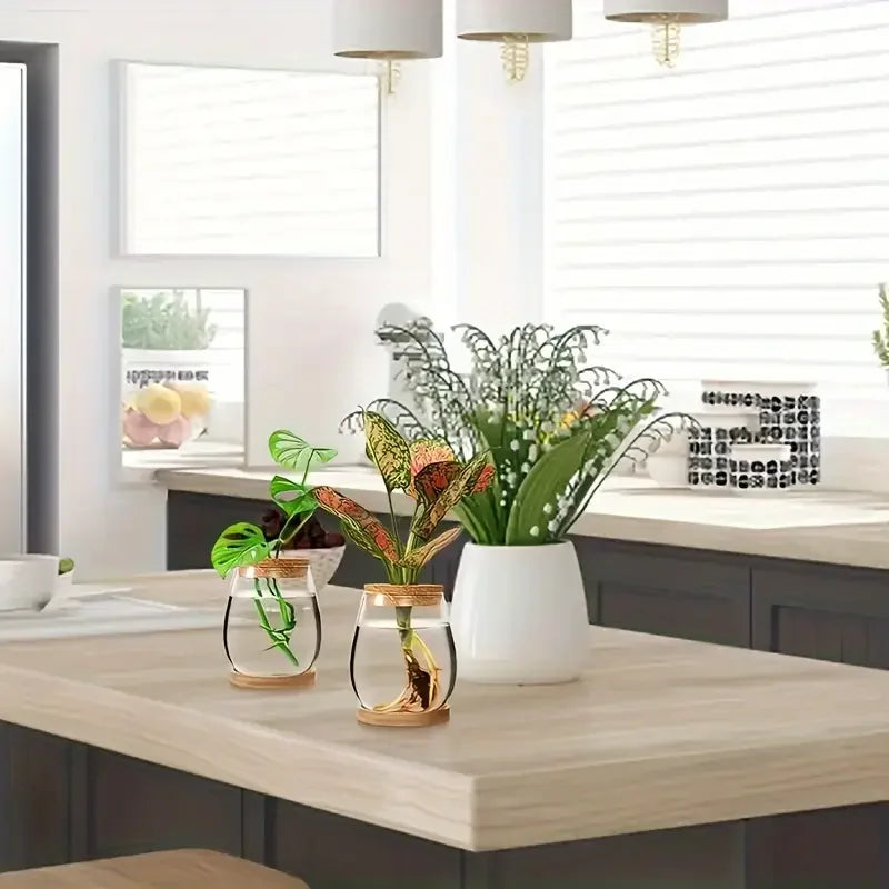 Hydroponic Glass Propagation Vase – Modern Indoor Planter Propagation Vase PLUSH