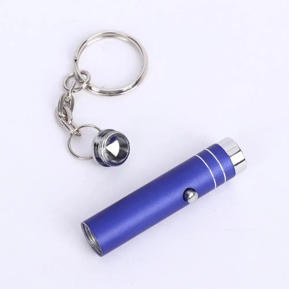 UV LED Keychain Flashlight – Counterfeit Money Detector Torch UV Keychain Flashlight PLUSH