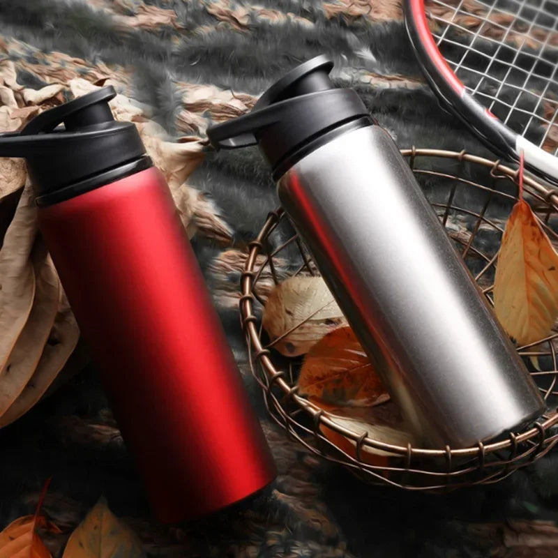 2-Pack 700ml Stainless Steel Bicycle Water Bottles – BPA-Free Sports Water Bottle PLUSH