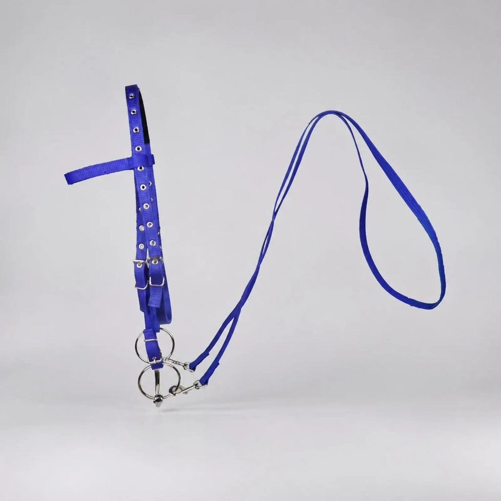 Lightweight Nylon Pony Bridle – Adjustable Buckles Riding Kit Equestrian Bridle PLUSH