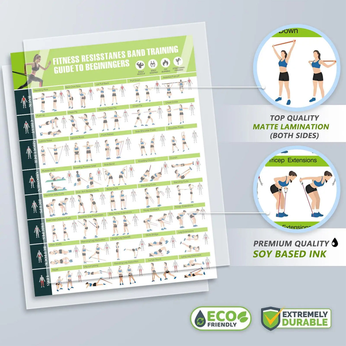 Yoga Pose & Fitness Exercise Chart Poster | Home Gym Wall Art Fitness Wall Poster PLUSH