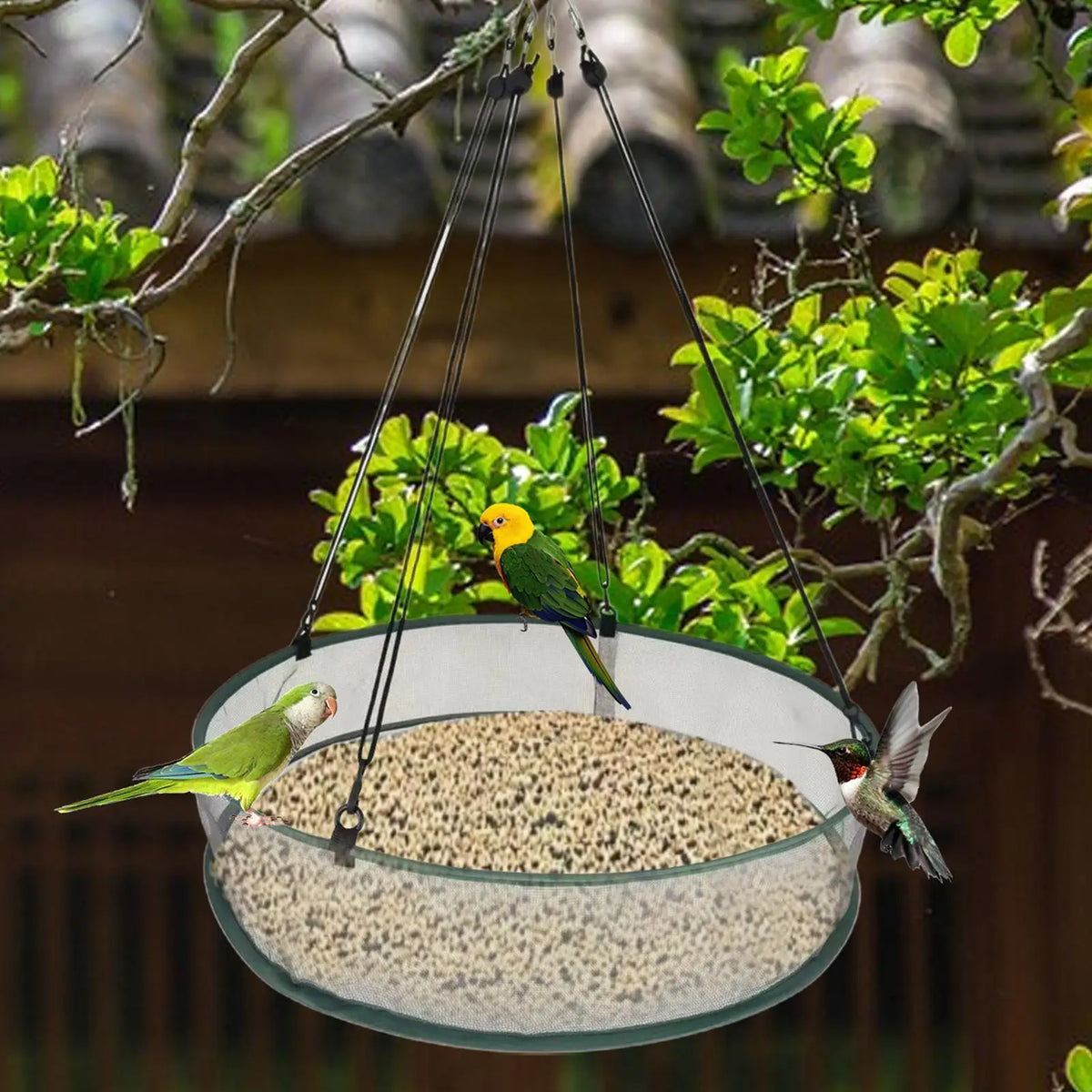 Bird Feeder Tray & Seed Catcher with Hanging Chain | Outdoor Bird Feeder Tray PLUSH