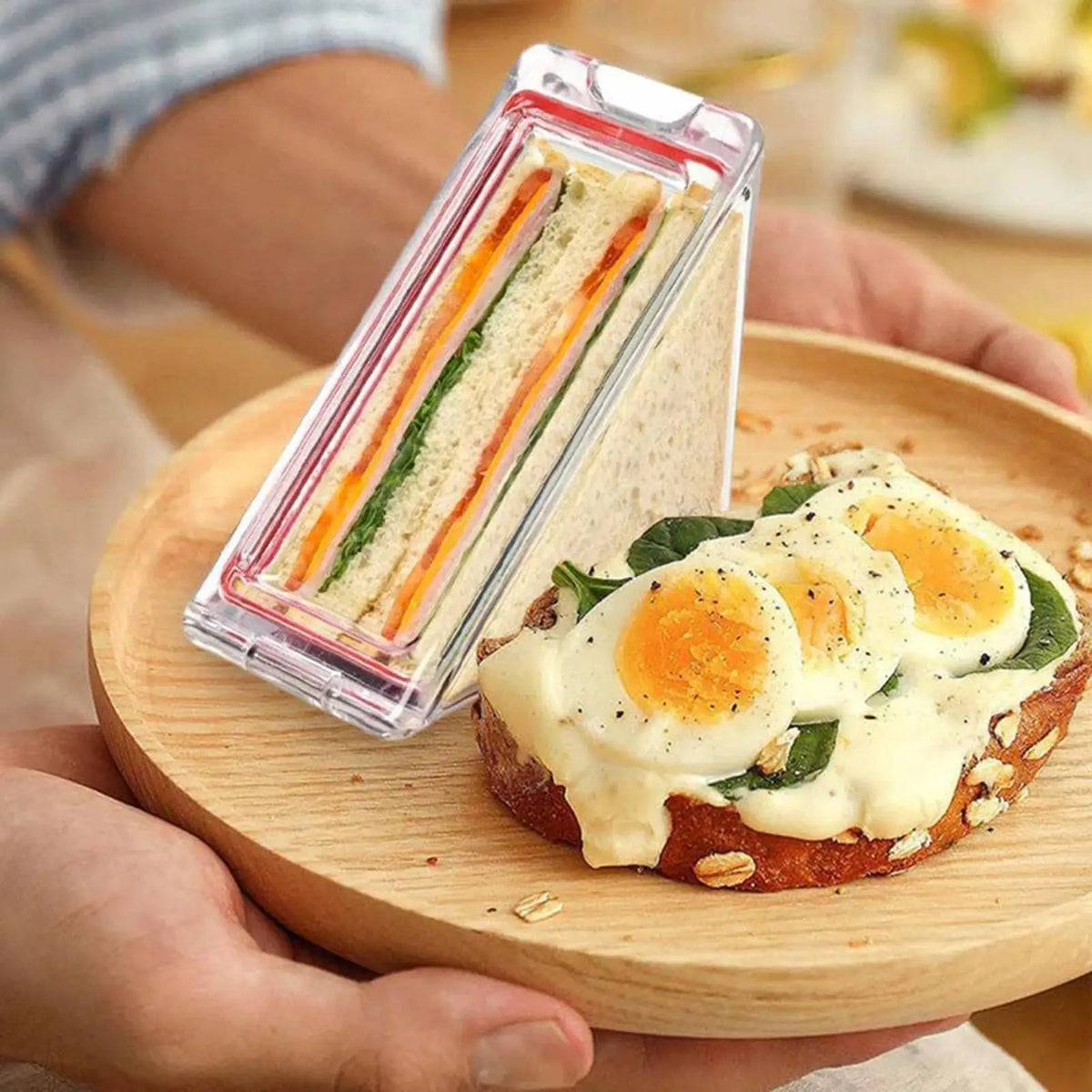 Triangular Sandwich Container – Airtight Portable Lunch Box Food Storage Container PLUSH