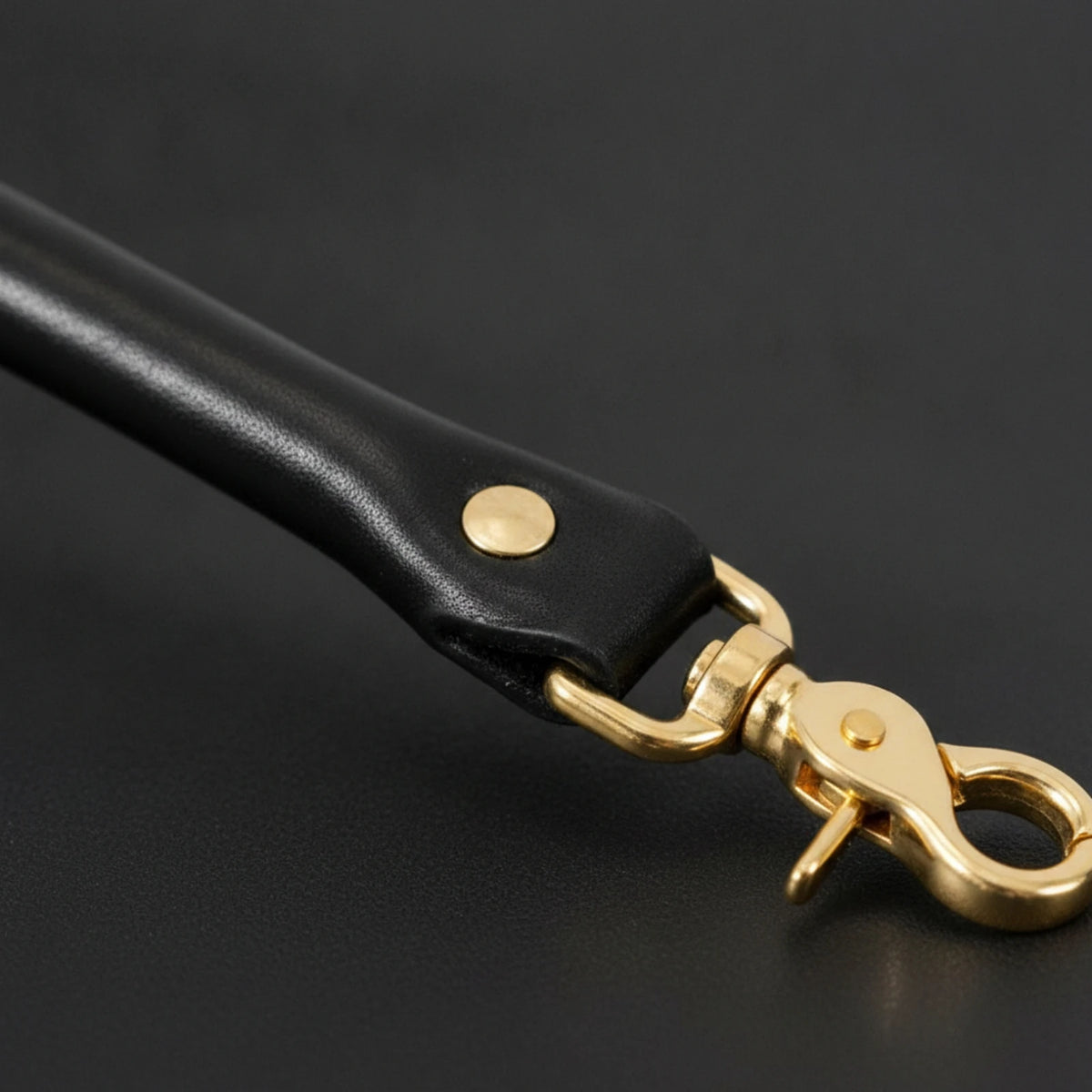 Reinforced Leather Saddle Grab Strap – Gold-Tone Hardware Saddle Grab Strap PLUSH