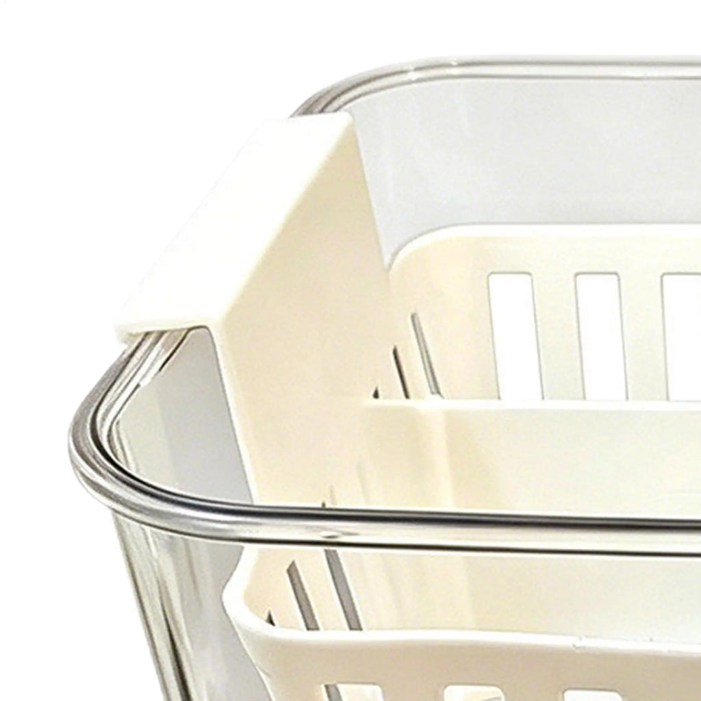 4-Grid Hydroponic Planter – Clear Tulip Bulb Basket Pot Hydroponic Planter PLUSH