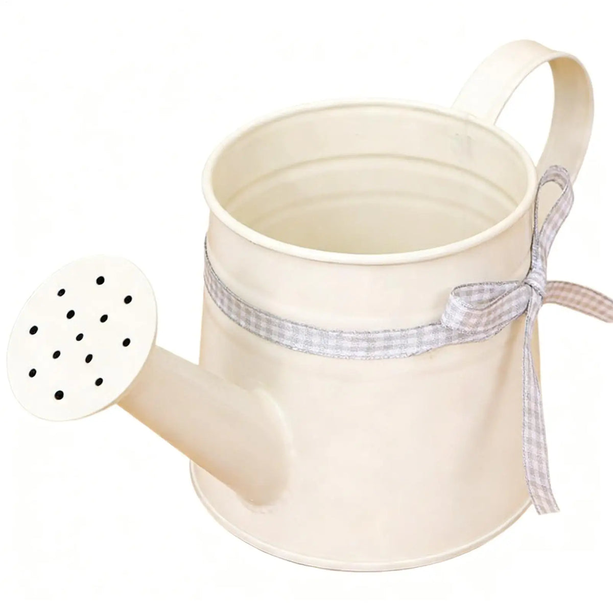 Mini Metal Watering Can – Decorative Indoor Plant Sprinkler Garden Watering Can PLUSH