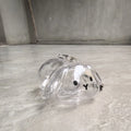 Transparent Pet Hair Storage Keychain – Cute Keepsake Container Pet Keepsake Keychain PLUSH Lop Ear Bunny
