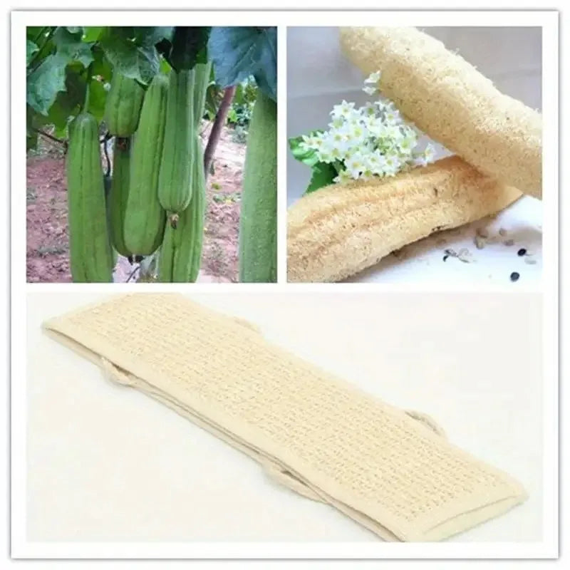 Exfoliating Body Scrubber – Long Bath Sponge with Strap Exfoliating Bath Sponge PLUSH
