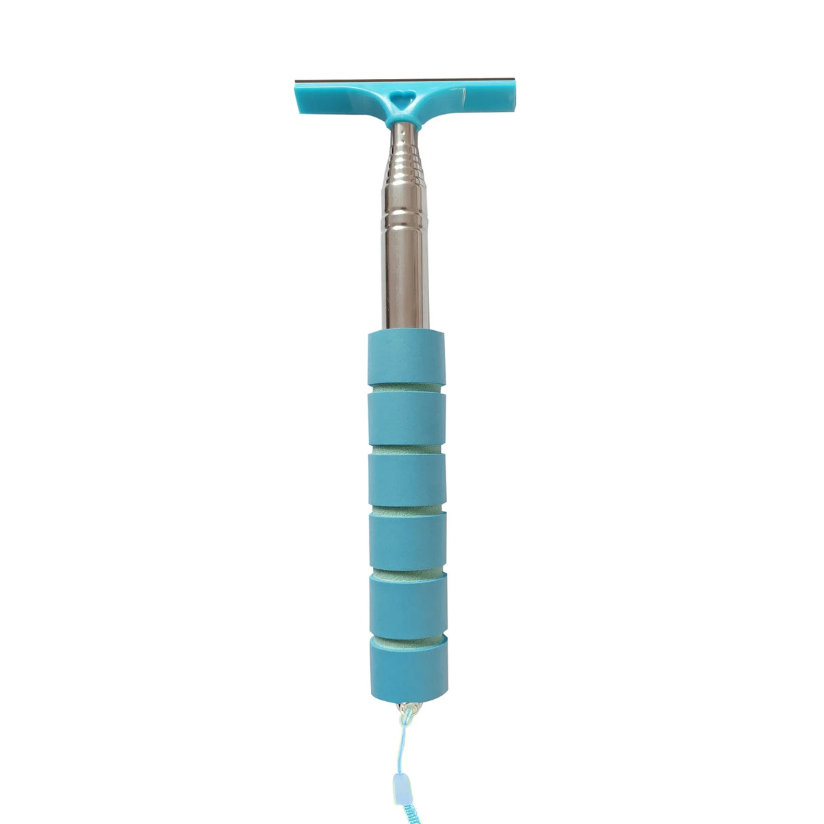 Telescopic Car Rearview Mirror Wiper & Auto Glass Cleaner Auto Glass Cleaner PLUSH Blue