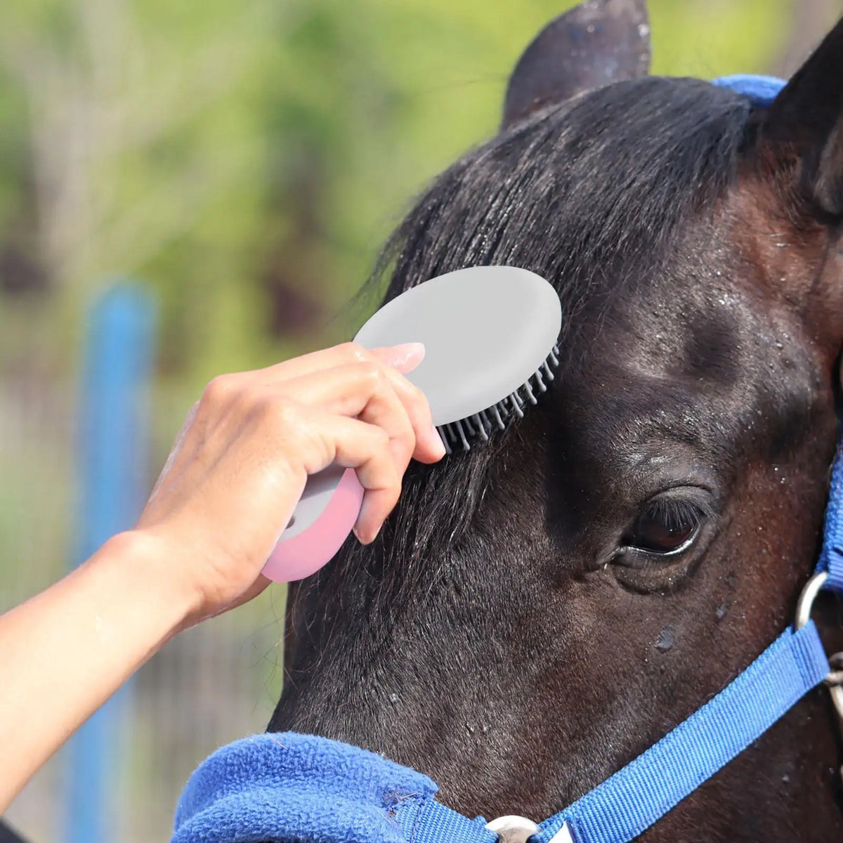Horse Mane & Tail Brush – Soft Needle Bristles & Rubber Grip Horse Grooming Brush PLUSH