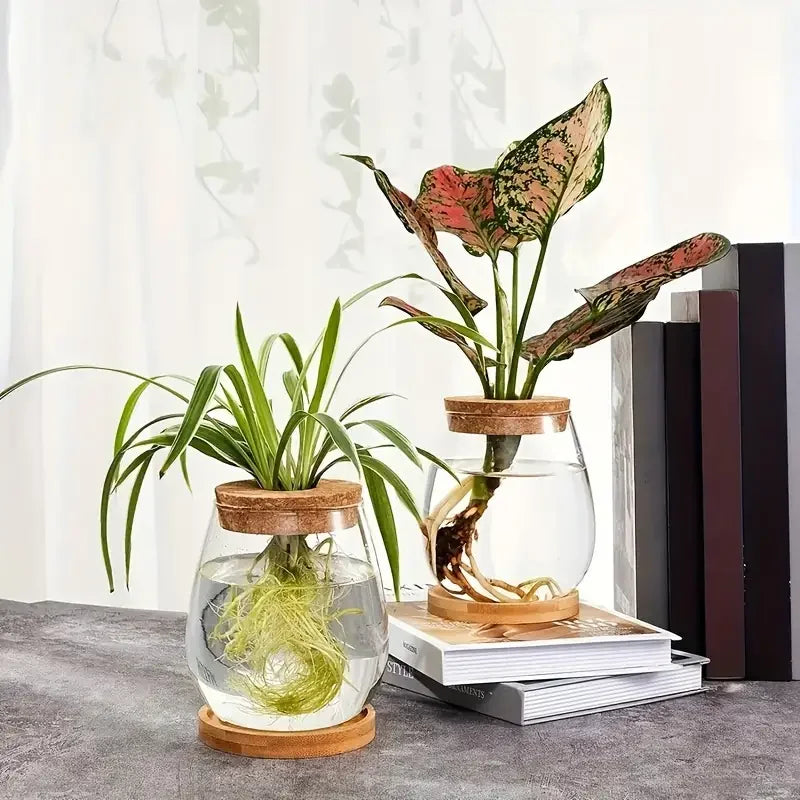 Hydroponic Glass Propagation Vase – Modern Indoor Planter Propagation Vase PLUSH