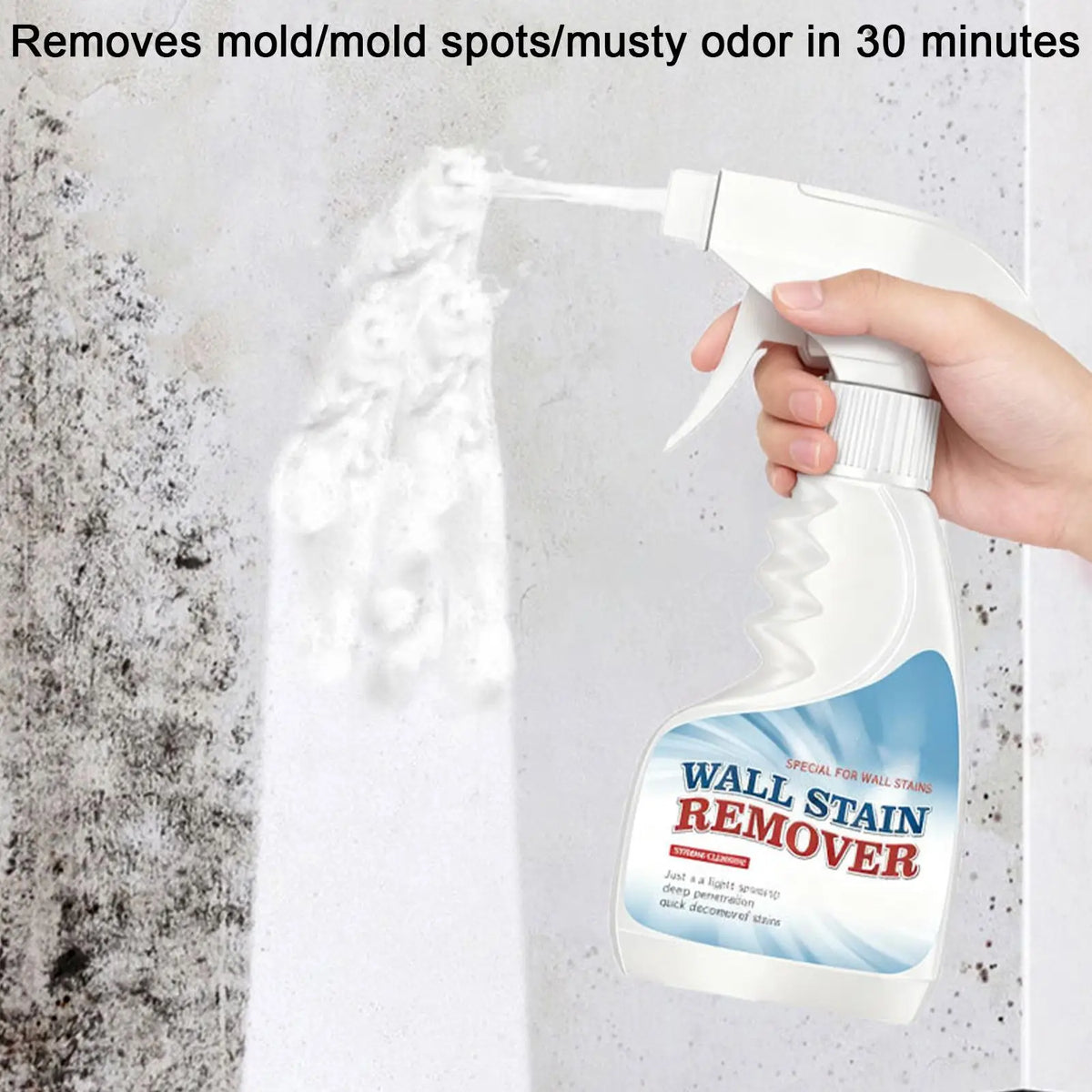 Mould Removal Spray – Wall & Bathroom Mildew Cleaner 500ml Mould Remover Spray PLUSH