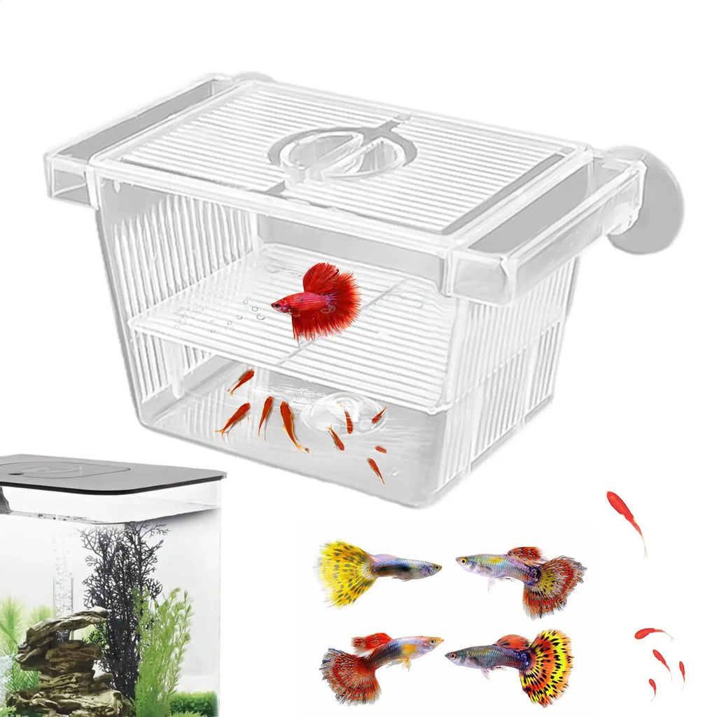 Aquarium Fish Breeder Box – Betta Fry Isolation & Hatching Box Fish Breeder Box PLUSH