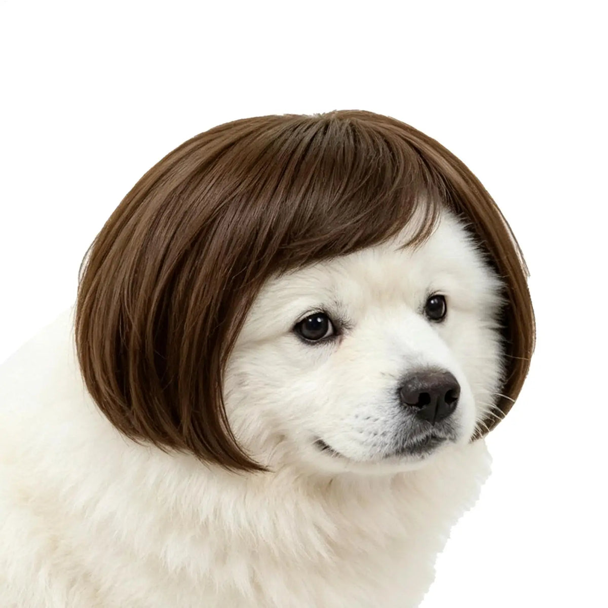 Funny Pet Wig for Dogs & Cats – DIY Halloween Costume Wig Pet Costume Wig PLUSH