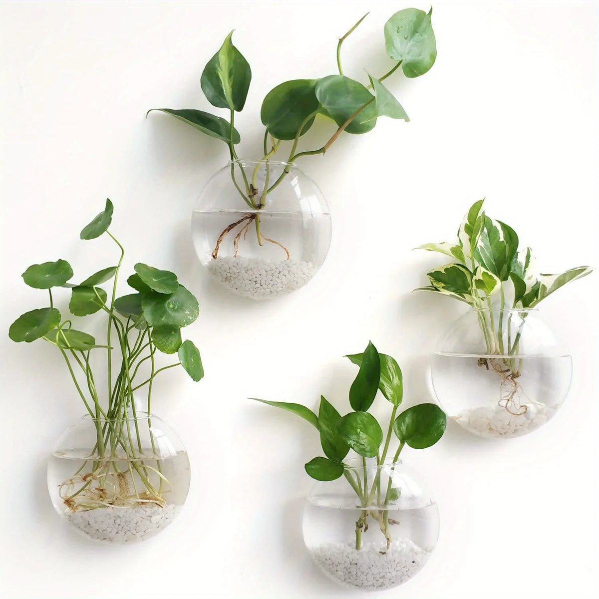 Wall Hanging Glass Terrarium – Hydroponic Planter Vase 2/4/6 Pack Wall Hanging Terrarium PLUSH 4PCS