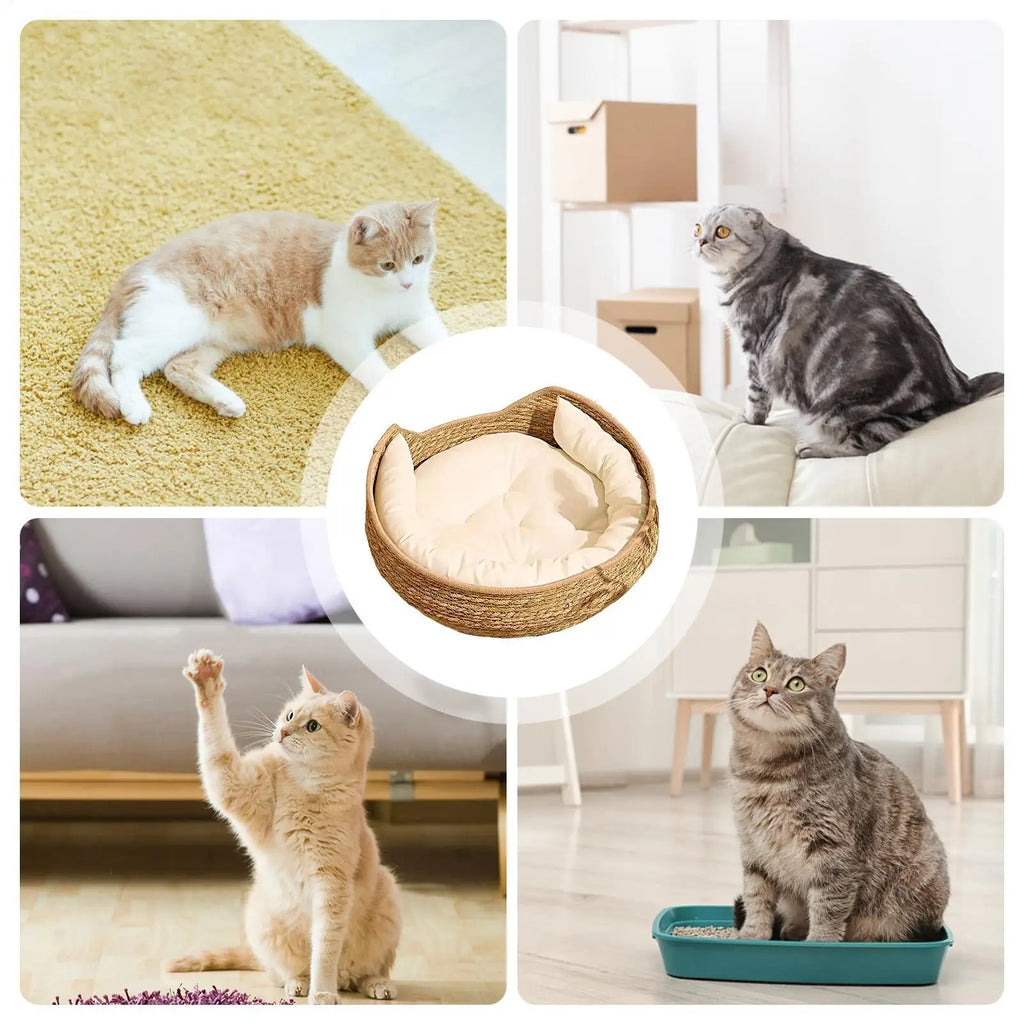 Woven Cat Basket Bed with Cushion & Pillow – Washable Cat Basket Bed PLUSH