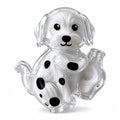 Cat-Shaped Pet Fur Keepsake Storage Capsule Set | Transparent Pet Keepsake Jar PLUSH A10