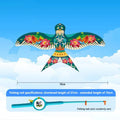 Cartoon Eagle Foldable Mini Kite for Kids – 50m Line & Handle Kids Outdoor Kite PLUSH A5