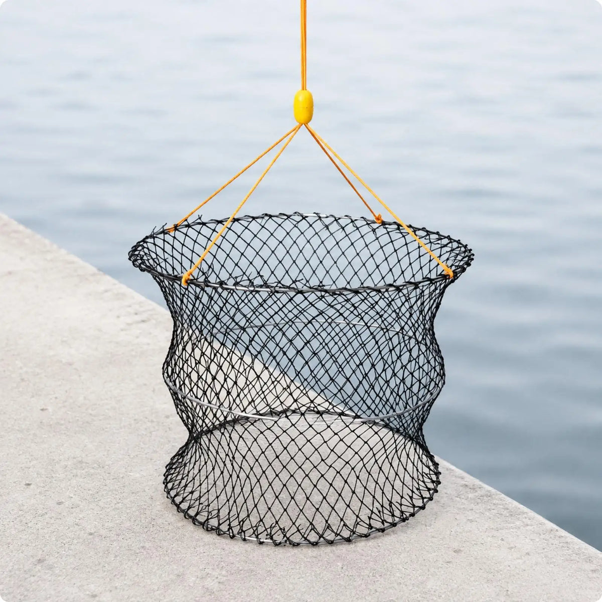 Portable Foldable Crab Trap – Stainless Steel Mesh Fishing Cage Crab Fishing Trap PLUSH CrabTrap