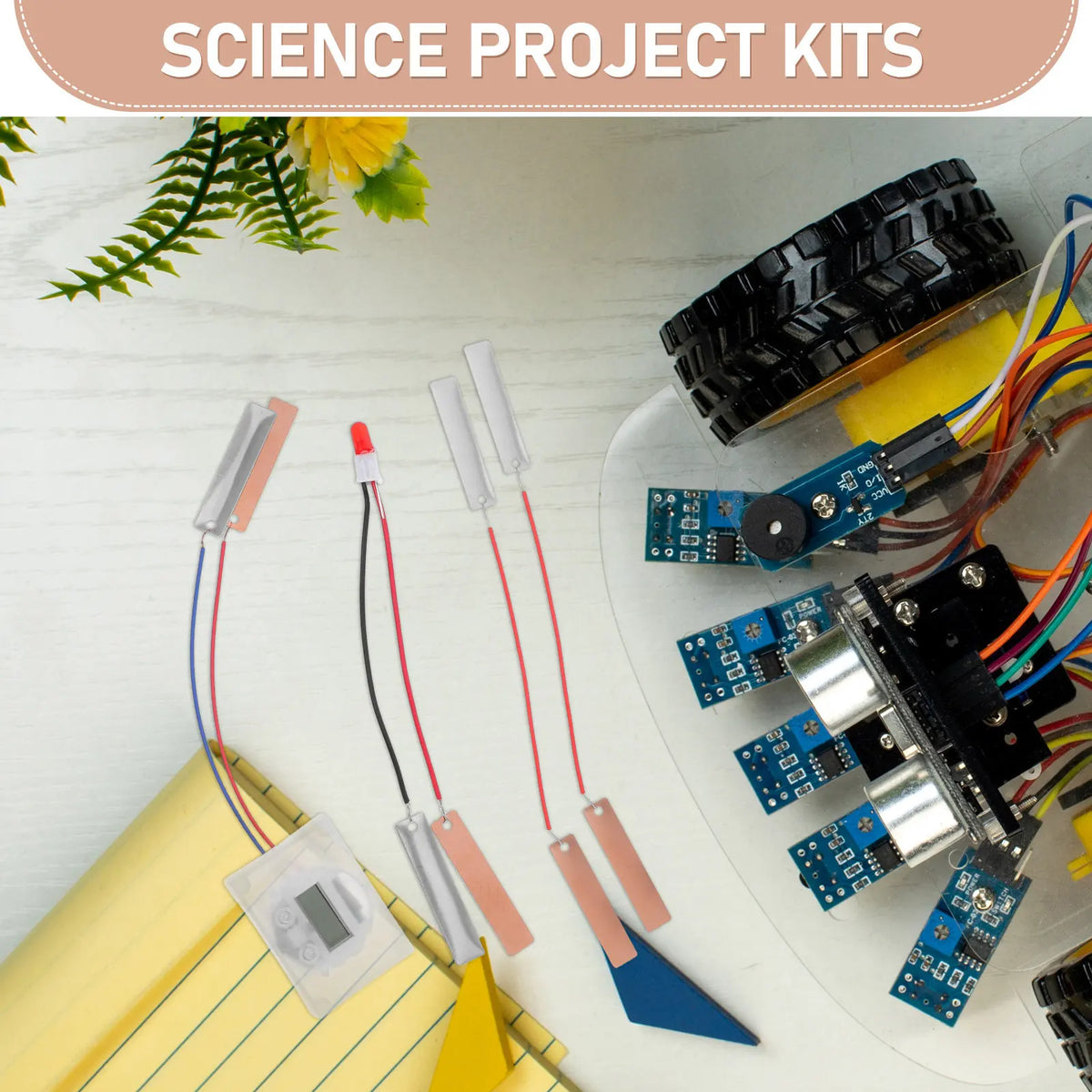 Fruit Battery Science Experiment Kit – DIY Physics Circuit Science Experiment Kit PLUSH
