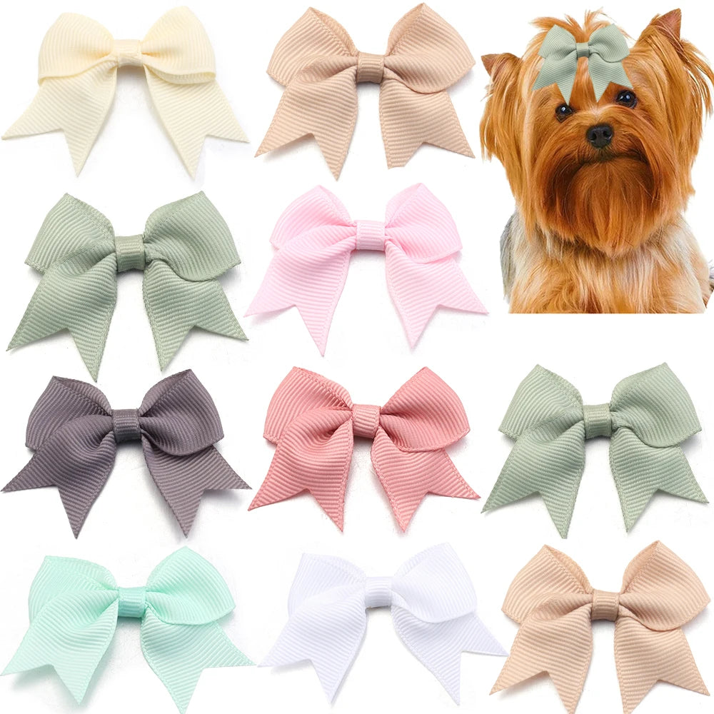 20pcs 2cm Satin Ribbon Bows – Colorful DIY Craft & Party Decor Ribbon Bow Embellishments PLUSH
