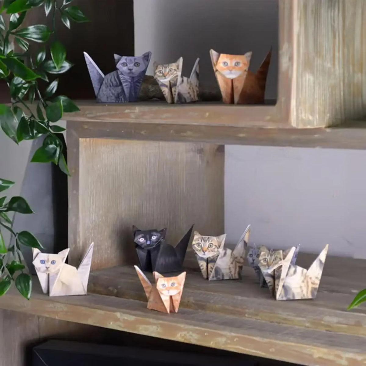 50-Sheet DIY Origami Paper Set – Cat, Dog & Dinosaur Folding Origami Craft Kit PLUSH