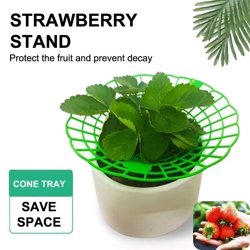 Strawberry Plant Support Stand – Waterproof PP Growing Rack Plant Support Rack PLUSH