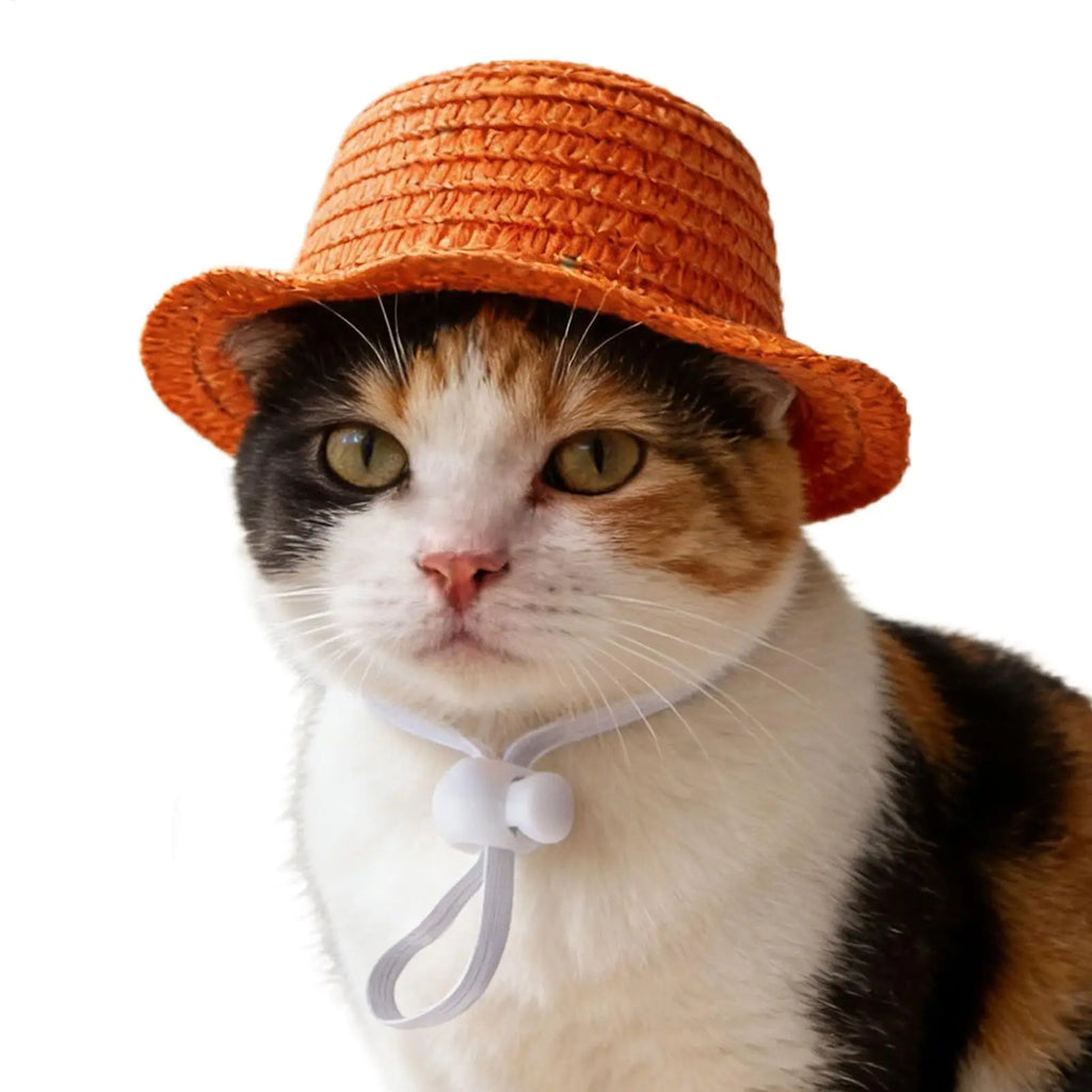 Mini Pet Straw Sun Hat for Dogs & Cats – Hawaii Style Pet Costume Hat PLUSH