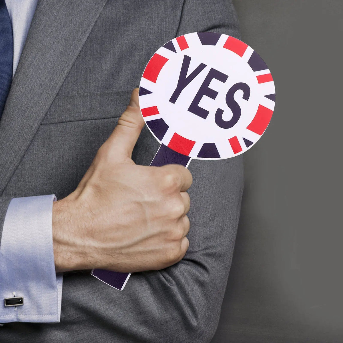Yes No Voting Paddles Set – Classroom Teacher Judging Tool Classroom Voting Paddles PLUSH