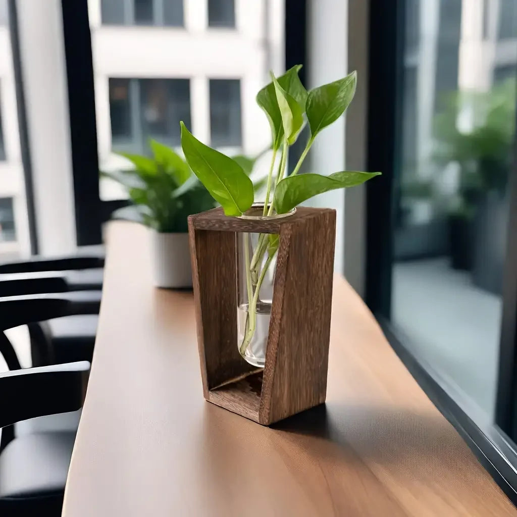 Modern Wood & Glass Propagation Vase – Minimalist Hydroponic Planter Propagation Vase PLUSH