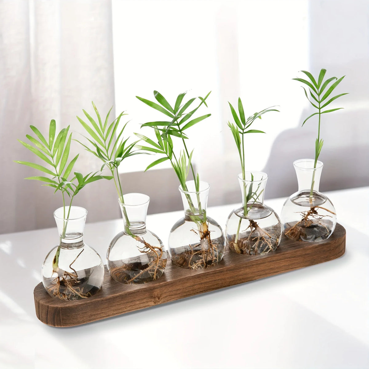 Glass Terrarium Vase & Wooden Tray – Hydroponics Propagation Station Terrarium Propagation Vase PLUSH