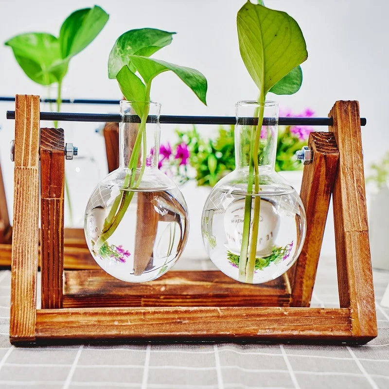 Glass Propagation Station in Wooden Rack | Hydroponic Vases Propagation Station PLUSH
