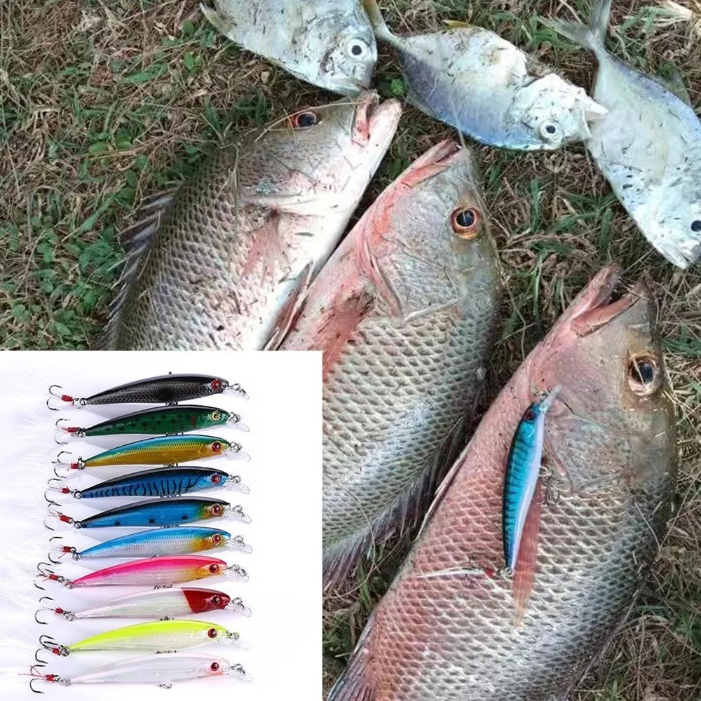 10pcs Simulation Fish Lures Kit 9cm/8g – Crank Bait Set Fishing Lure Kit PLUSH