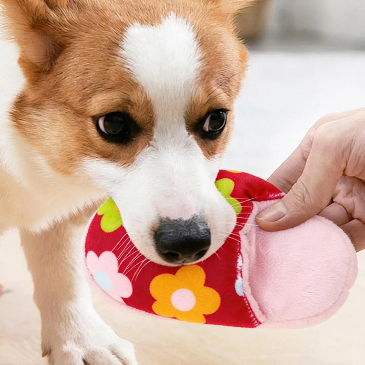 Squeaky Plush Slipper Dog Toy – Interactive Chew Play Squeaky Dog Toy PLUSH