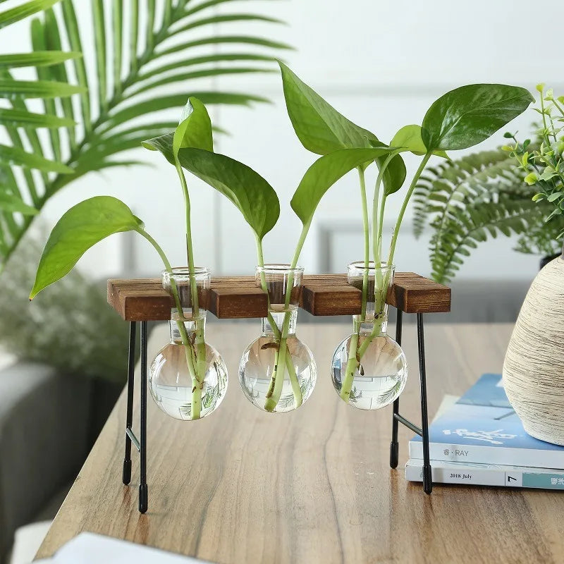 Wooden Frame Hydroponic Glass Bulb Vase – Modern Indoor Decor Hydroponic Glass Planter PLUSH BD-03