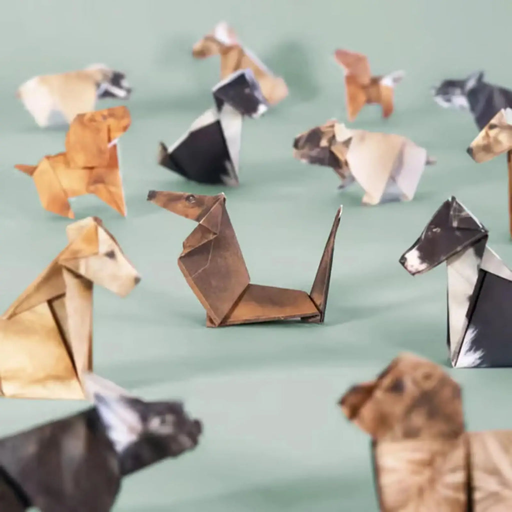 50-Sheet DIY Origami Paper Set – Cat, Dog & Dinosaur Folding Origami Craft Kit PLUSH