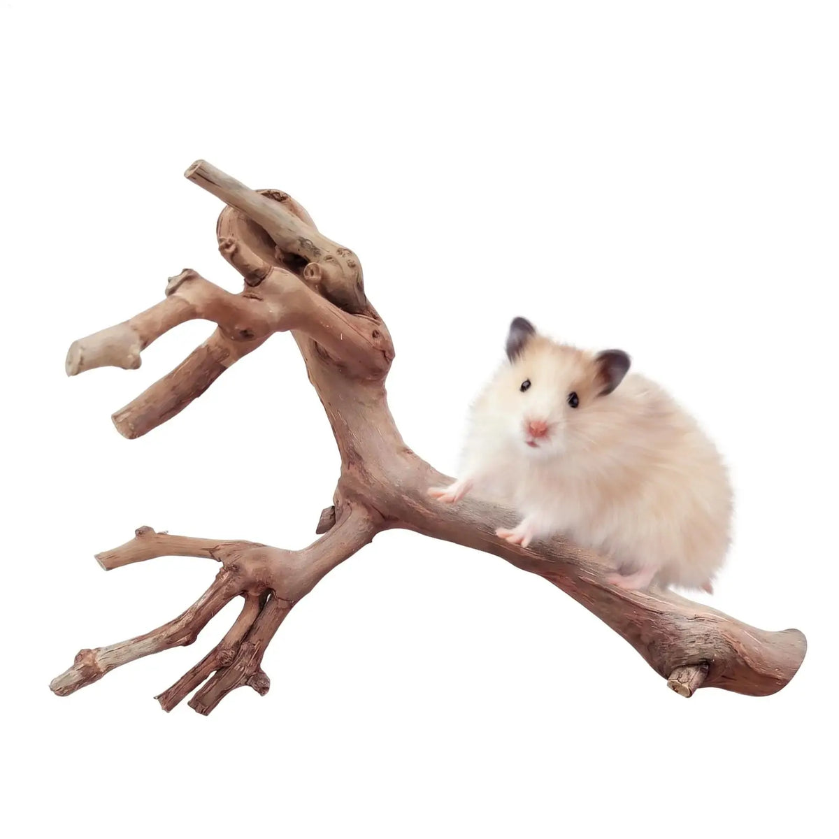 Wooden Hamster Climbing Toy – Branches, Swing & Ladder Small Pet Climbing Toy PLUSH