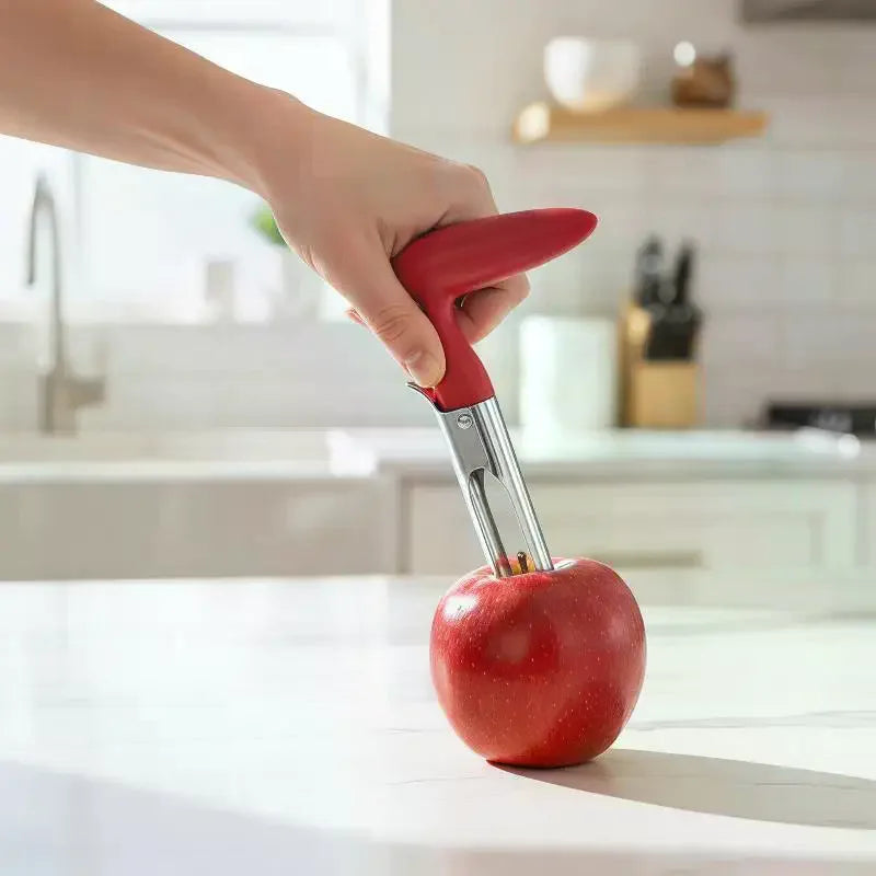 Stainless Steel Fruit Corer – Pineapple & Pear Core Remover Fruit Corer Tool PLUSH