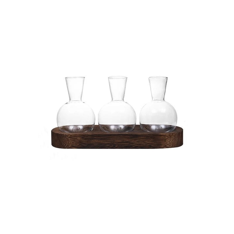 Modern Glass Plant Terrarium with Wooden Tray | Hydroponic Vase Glass Plant Terrarium PLUSH A