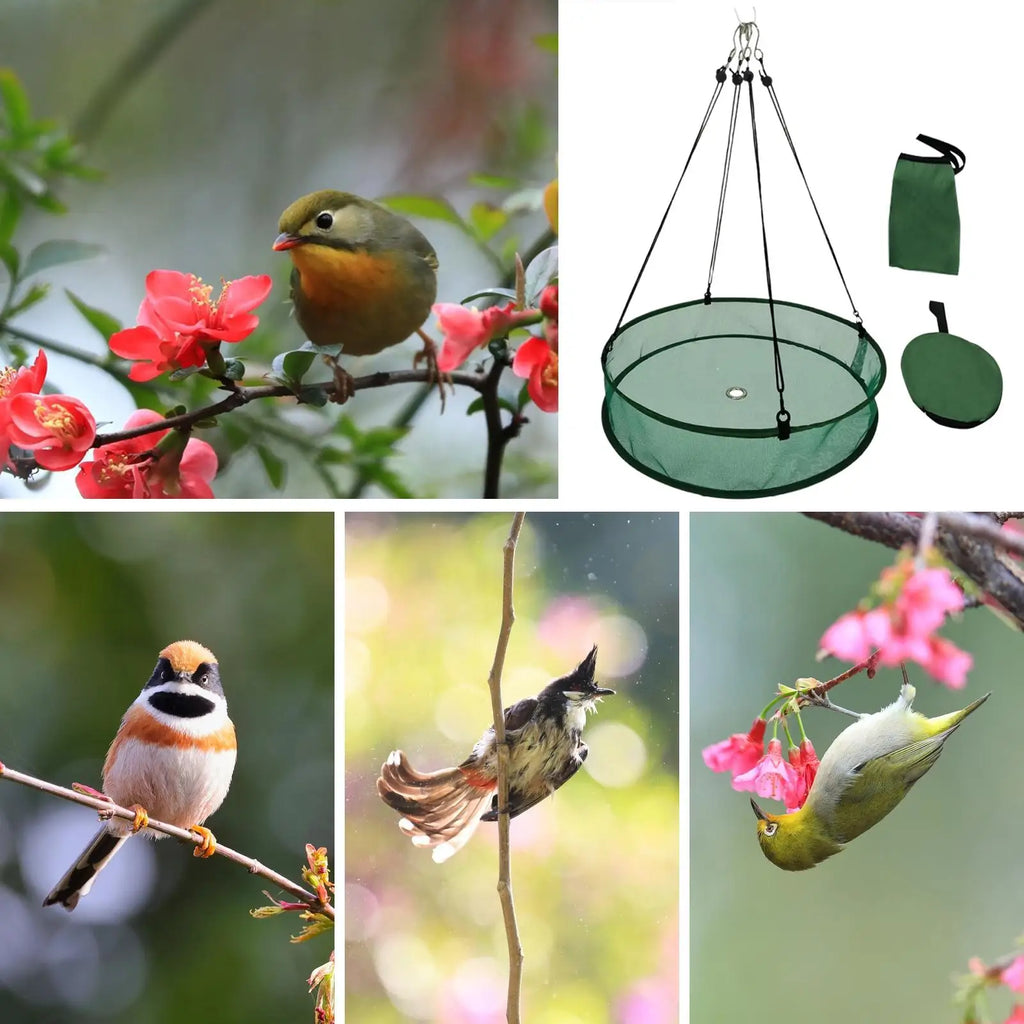 Bird Feeder Tray & Seed Catcher with Hanging Chain | Outdoor Bird Feeder Tray PLUSH