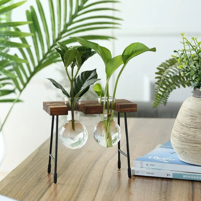 Wooden Frame Hydroponic Glass Bulb Vase – Modern Indoor Decor Hydroponic Glass Planter PLUSH BD-02