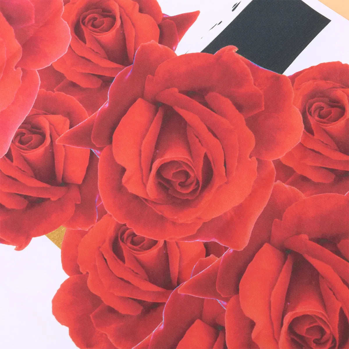 Red Rose Birthday Photography Backdrop – Party Background Cloth Photography Backdrop PLUSH