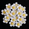 20pcs 3D Resin Flower Flatback Cabochons 20mm – DIY Jewelry Resin Flatback Cabochons PLUSH White