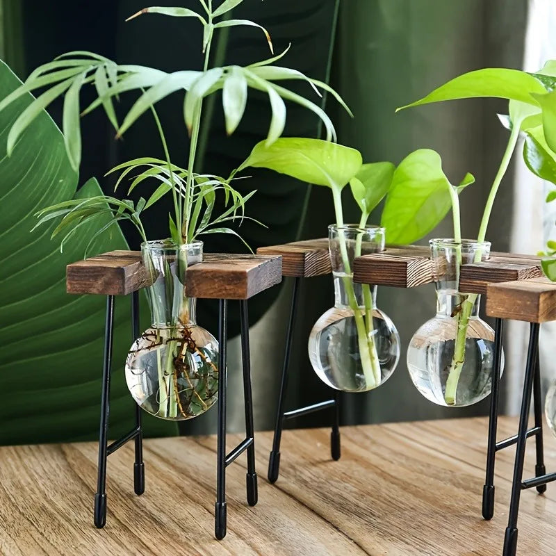 Wooden Frame Hydroponic Glass Bulb Vase – Modern Indoor Decor Hydroponic Glass Planter PLUSH