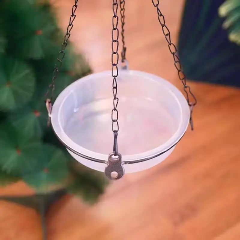 Transparent Plastic Bird Feeder Bowl – Balcony & Garden Bird Feeder Bowl PLUSH
