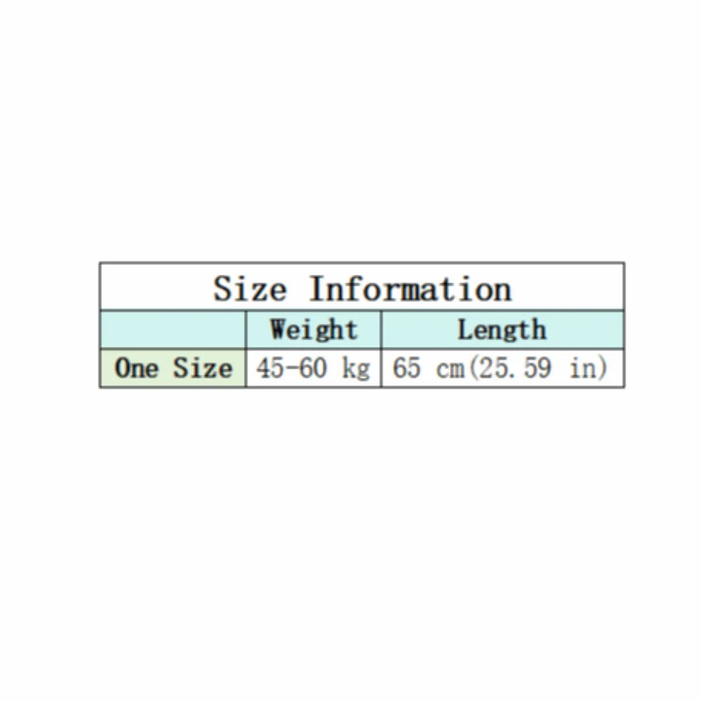 High Waist Lace Petticoat – Embroidery Flower Mesh Underskirt Lace Petticoat Underskirt PLUSH